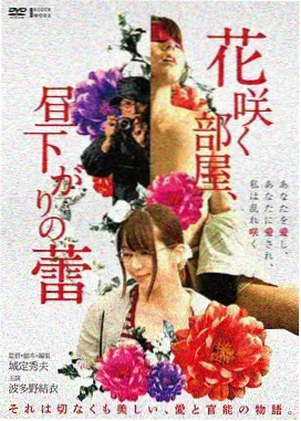 河湾小厅影院指南